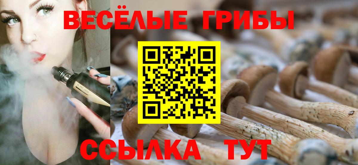 Галлюциногенные грибы Psilocybine cubensis  Вход с VPN  Оренбург 